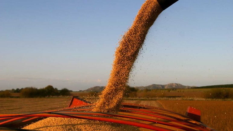 Milei oficializó la baja de las retenciones al campo, con una condición